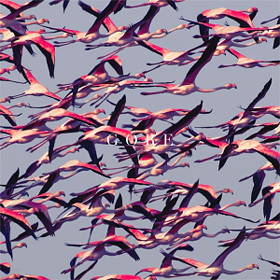 deftones_c