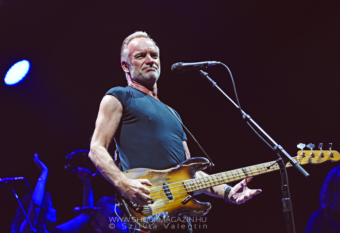 sting_k2019_02