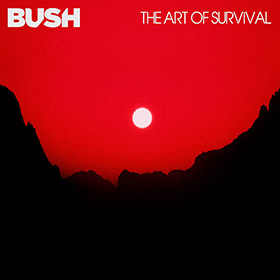 bush_c