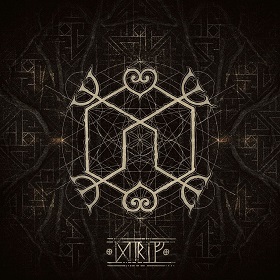 Heilung: Drif