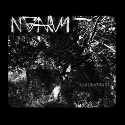 Nagaarum: Űrerdő