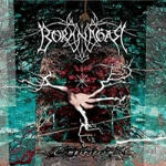 Borknagar: Empiricism