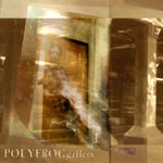 POLYFROGgallery
